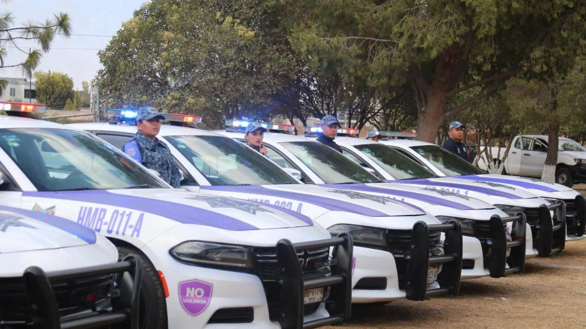 policía violeta